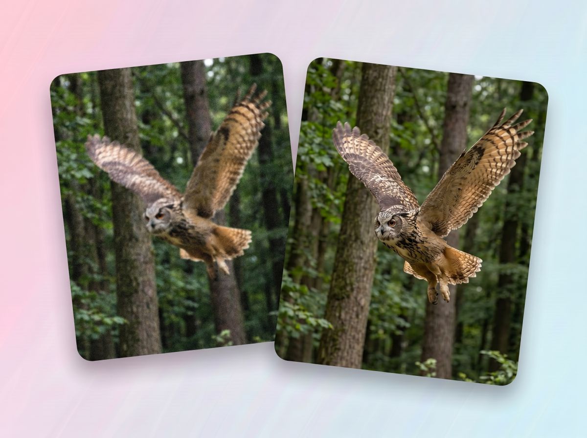 Convert Old Footage for Presentations and Reels