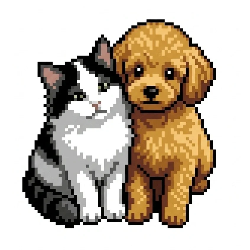 Pixel